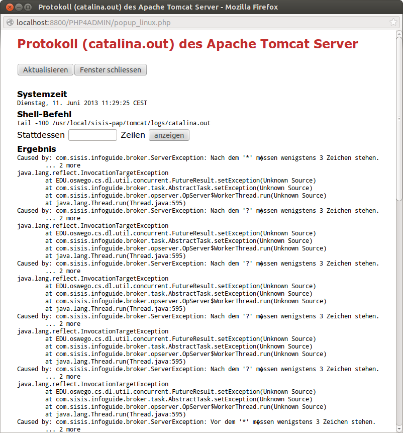 Anzeige der Protokolldatei "catalina.out" des Apache Tomcat Server