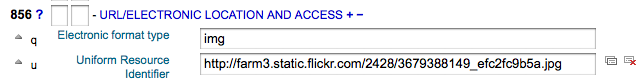 856 field in the cataloging form; 856q contains img and 856u contains a link to an image